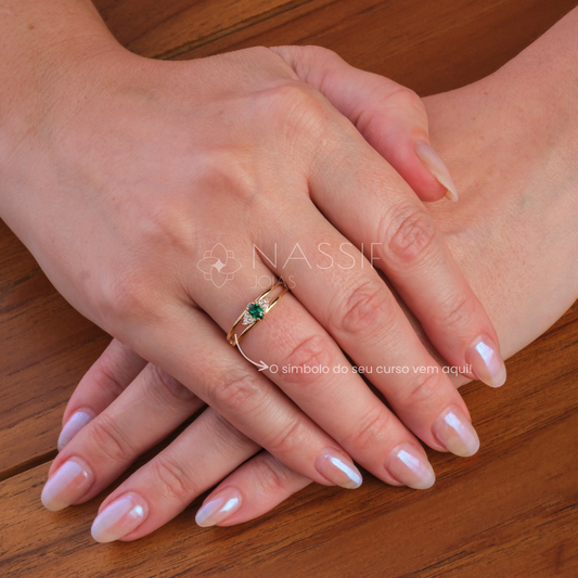 Anel de Formatura de Nutrição Eternus III Ouro 18k