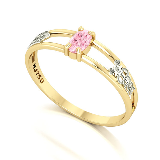 Anel de Formatura de Ciências Contábeis Nexus III Ouro 18k