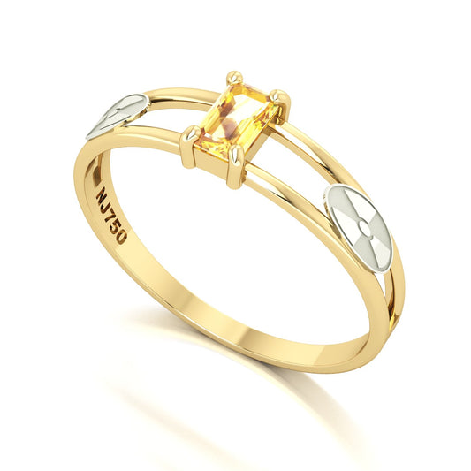 Anel de Formatura de Radiologia Nexus Ouro 18k