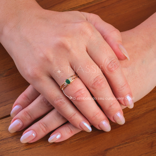 Anel de Formatura de Veterinária Eternus Ouro 18k