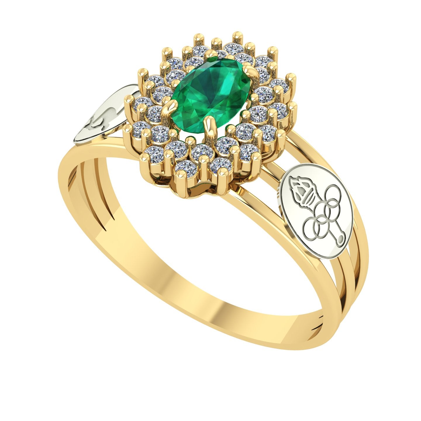 Anel de Formatura de Ed. Física Bright Ouro 18k