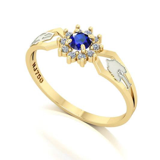 Anel de Formatura de Engenharia Ambiental Lovely II Ouro 18k