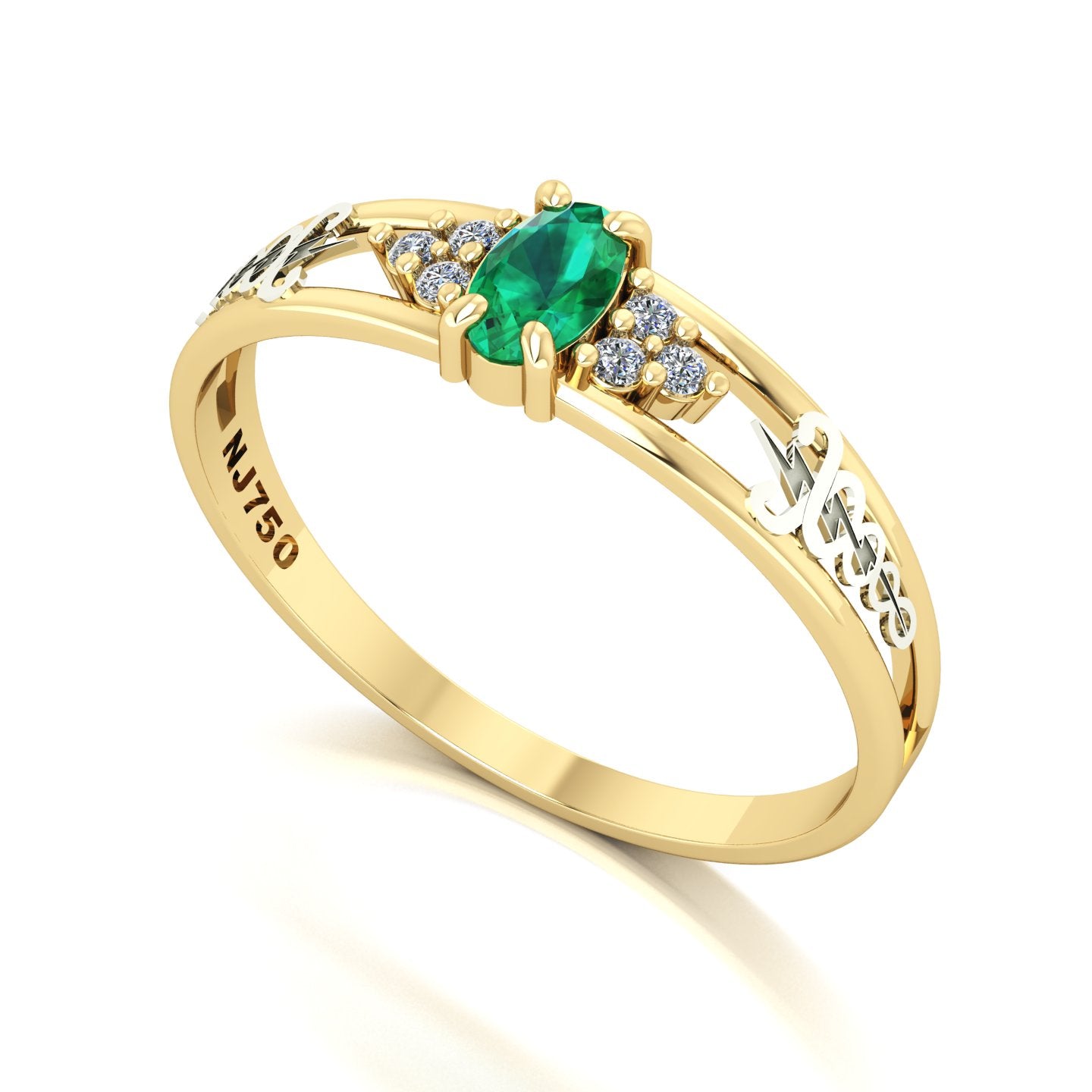 Anel de Formatura de Fisioterapia Eternus III Ouro 18k