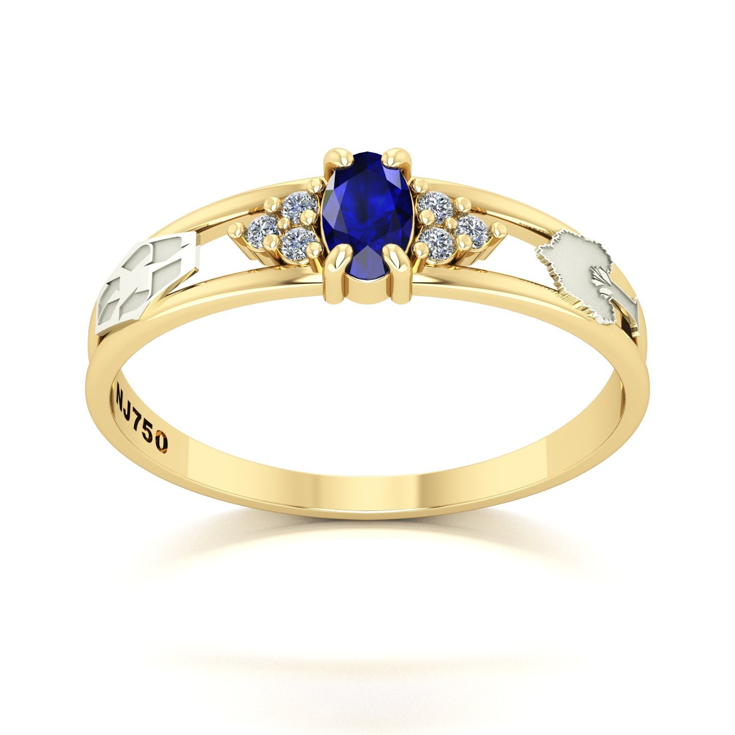 Anel de Formatura de Engenharia Ambiental Eternus III Ouro 18k