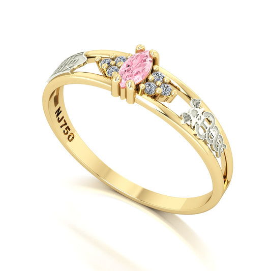 Anel de Formatura de Ciências Contábeis Eternus II Ouro 18k