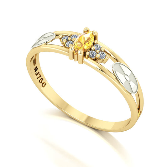 Anel de Formatura de Radiologia Eternus II Ouro 18k