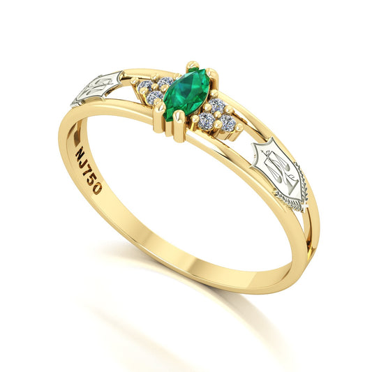 Anel de Formatura de Nutrição Eternus II Ouro 18k