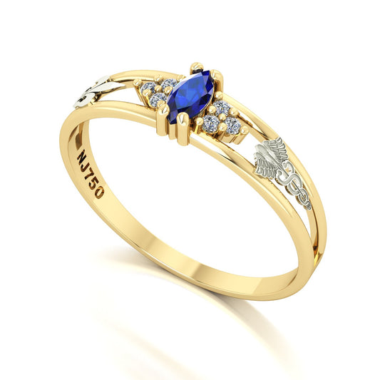 Anel de Formatura de Pedagogia Eternus II Ouro 18k