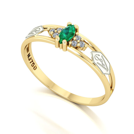 Anel de Formatura de Medicina Veterinária Eternus II Ouro 18k