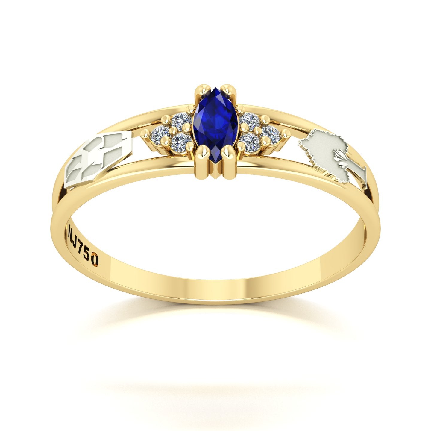 Anel de Formatura de Engenharia Ambiental Eternus II Ouro 18k