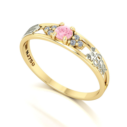 Anel de Formatura de Ciências Contábeis Eternus IV Ouro 18k