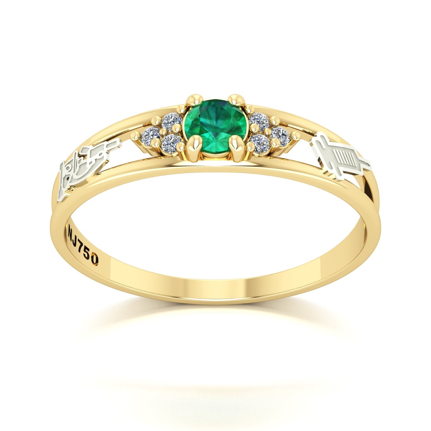 Anel de Formatura de Biomedicina Eternus IV Ouro 18k