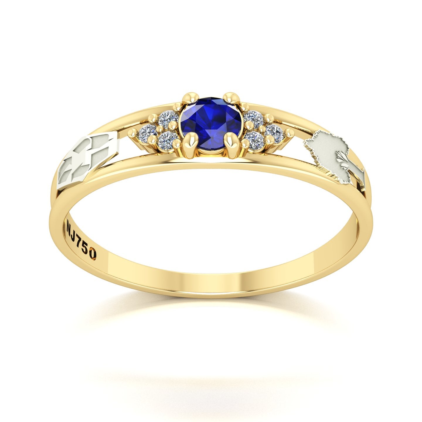 Anel de Formatura de Engenharia Ambiental Eternus IV Ouro 18k