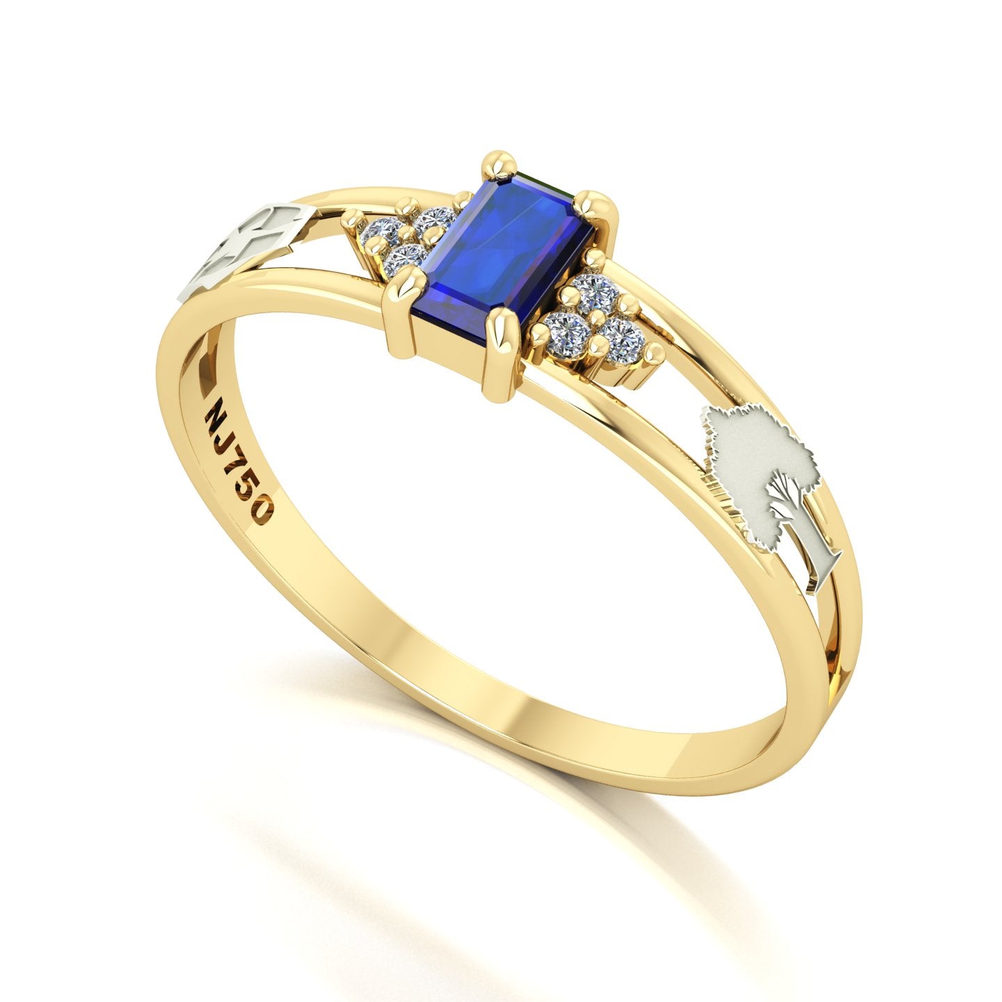 Anel de Formatura de Engenharia Ambiental Eternus Ouro 18k