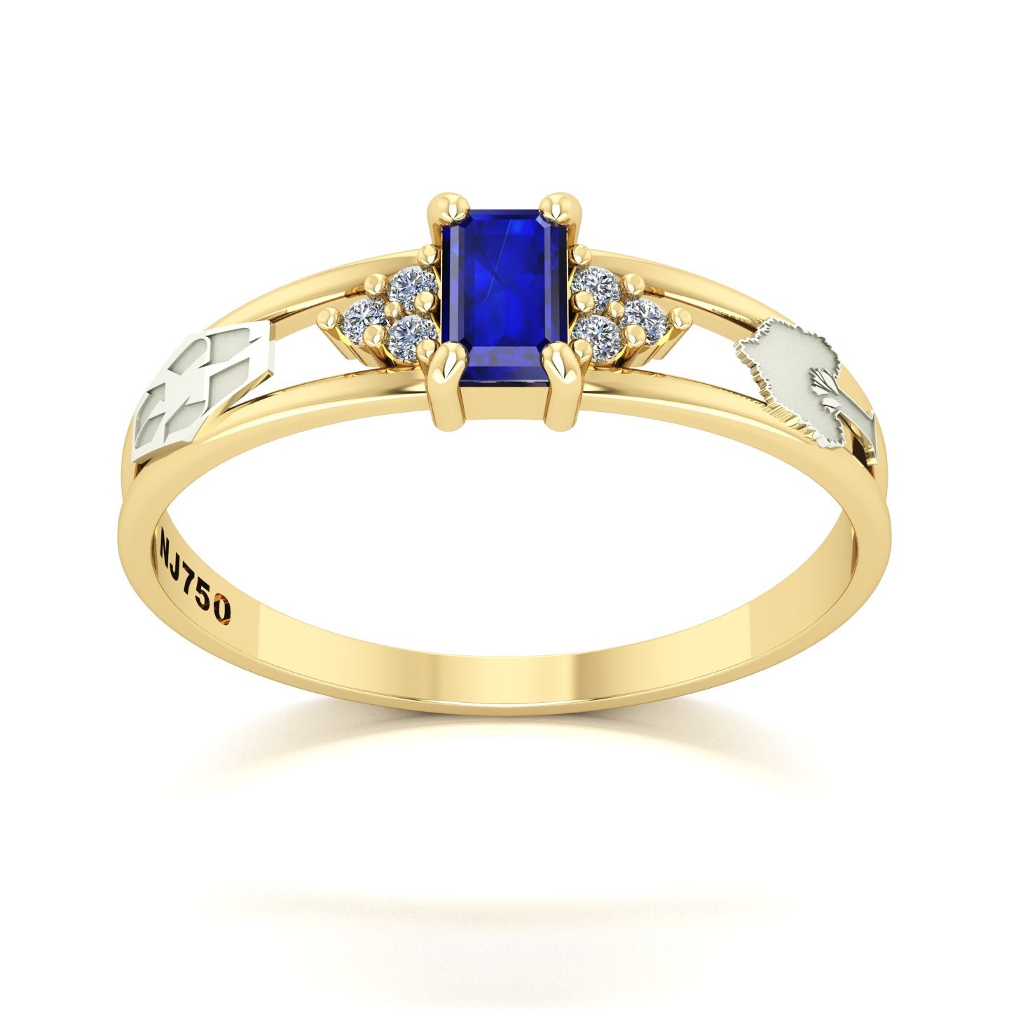 Anel de Formatura de Engenharia Ambiental Eternus Ouro 18k
