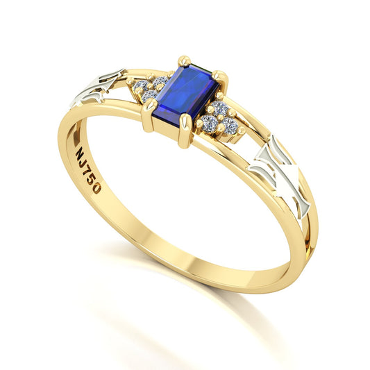 Anel de Formatura de Recursos Humanos Eternus Ouro 18k