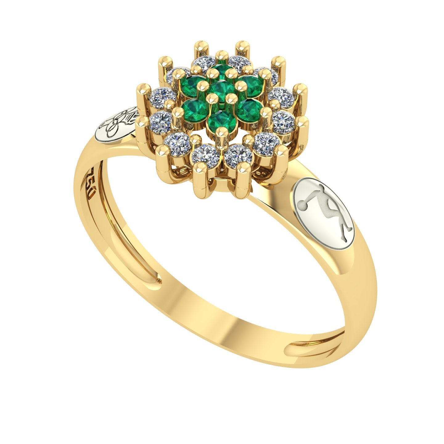 Anel de Formatura de Ed. Física Flower Ouro 18k