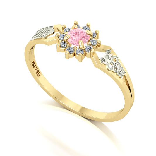 Anel de Formatura de Ciências Contábeis Lovely II Ouro 18k