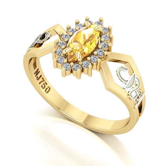 Anel de Formatura de Farmácia Lovely V Ouro 18k