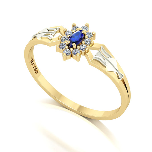 Anel de Formatura de Recursos Humanos Lovely Ouro 18k