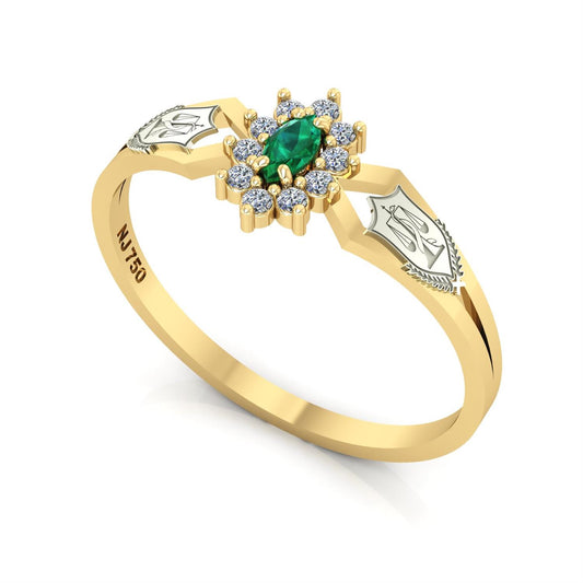 Anel de Formatura de Nutrição Lovely Ouro 18k