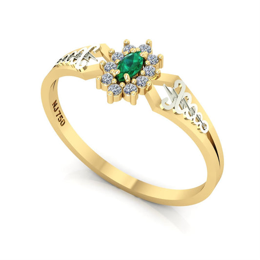 Anel de Formatura de Fisioterapia Lovely Ouro 18k