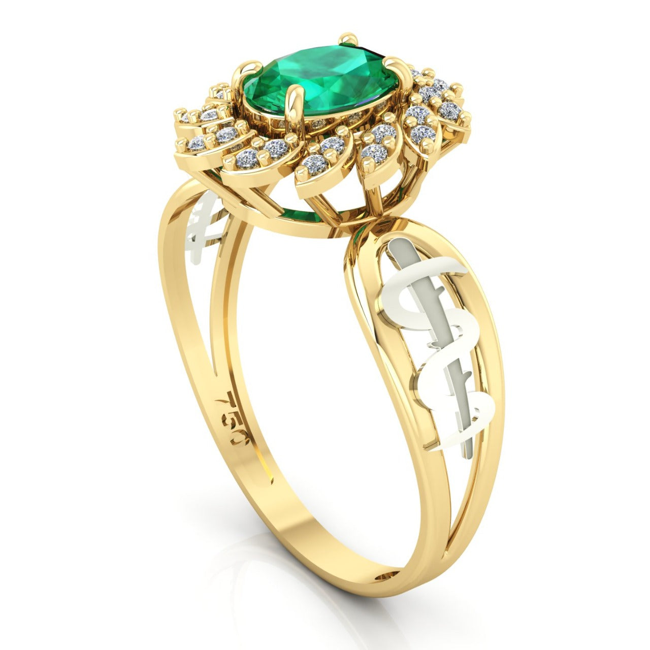 Anel de Formatura de Medicina Magnus Flos Ouro 18k