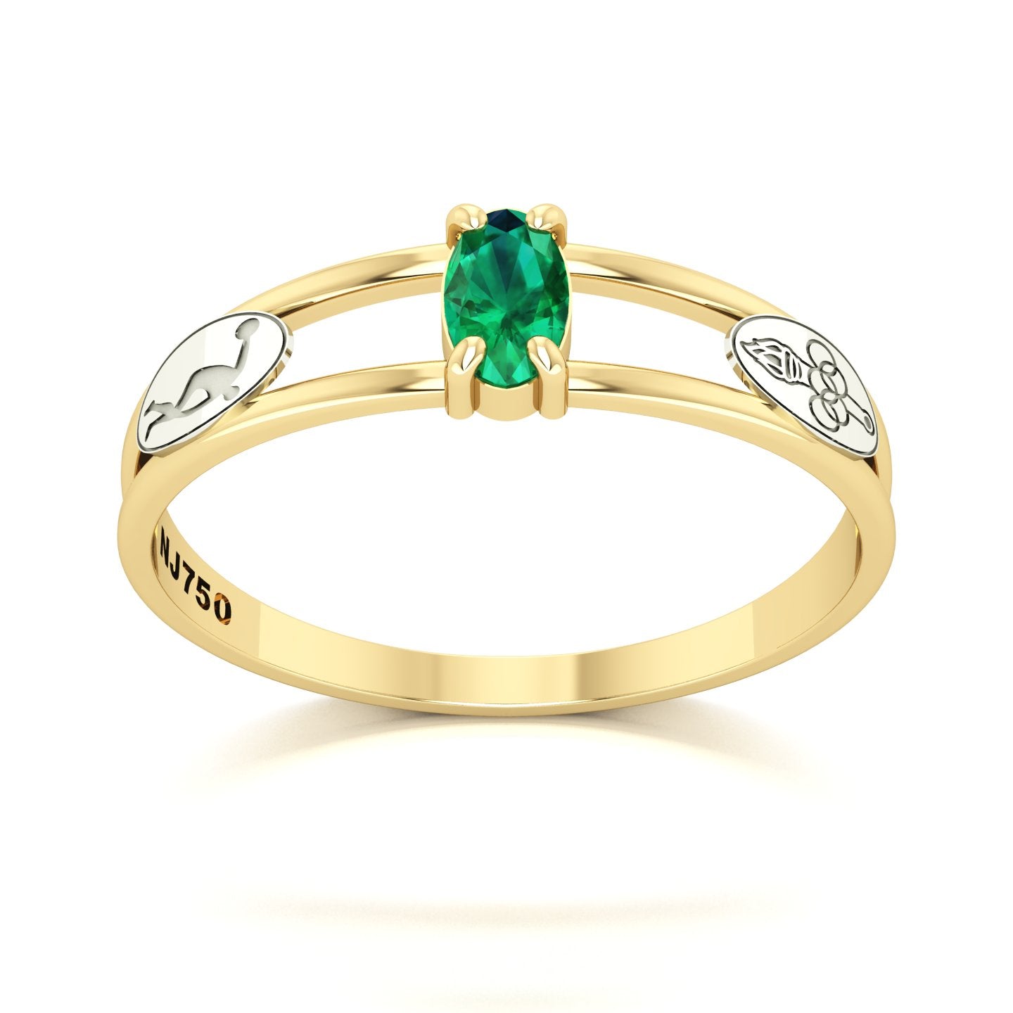 Anel de Formatura de Educação Física Nexus III Ouro 18k