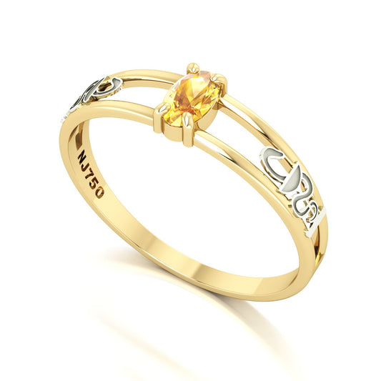 Anel de Formatura de Farmácia Nexus III Ouro 18k