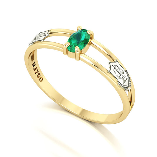 Anel de Formatura de Nutrição Nexus III Ouro 18k