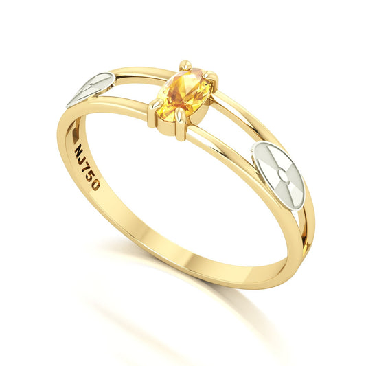 Anel de Formatura de Radiologia Nexus III Ouro 18k