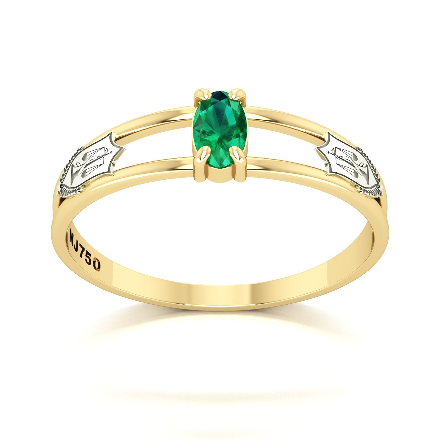 Anel de Formatura de Nutrição Nexus III Ouro 18k