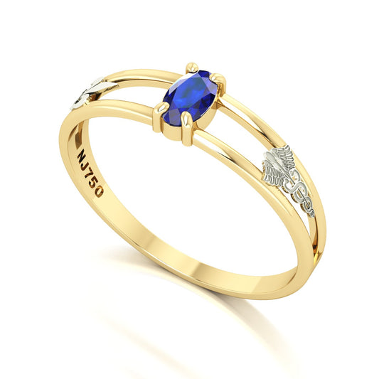 Anel de Formatura de Pedagogia Nexus III Ouro 18k