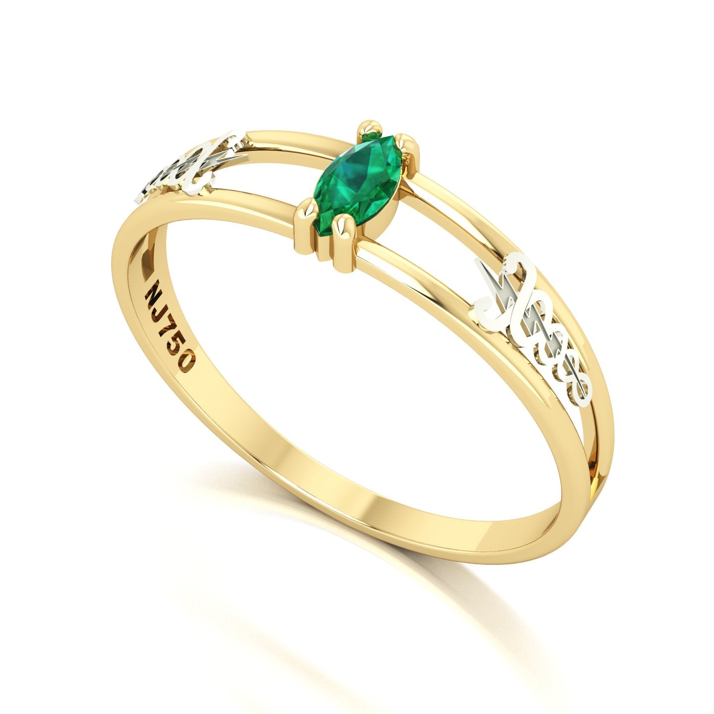 Anel de Formatura de Fisioterapia Nexus II Ouro 18k