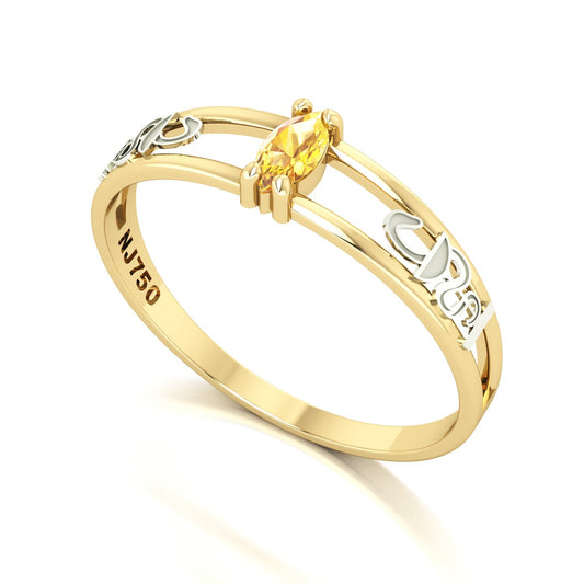 Anel de Formatura de Farmácia Nexus II Ouro 18k