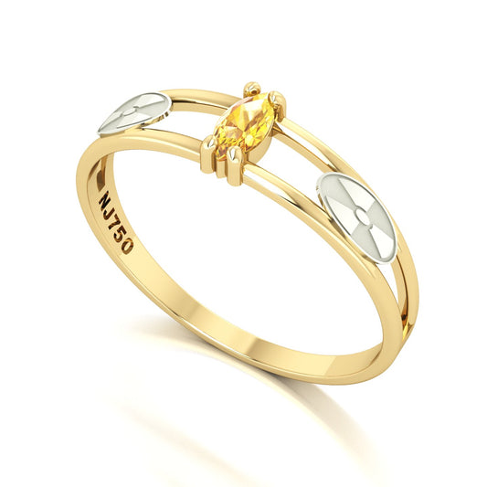 Anel de Formatura de Radiologia Nexus II Ouro 18k