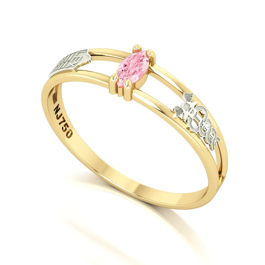 Anel de Formatura de Ciências Contábeis Nexus II Ouro 18k