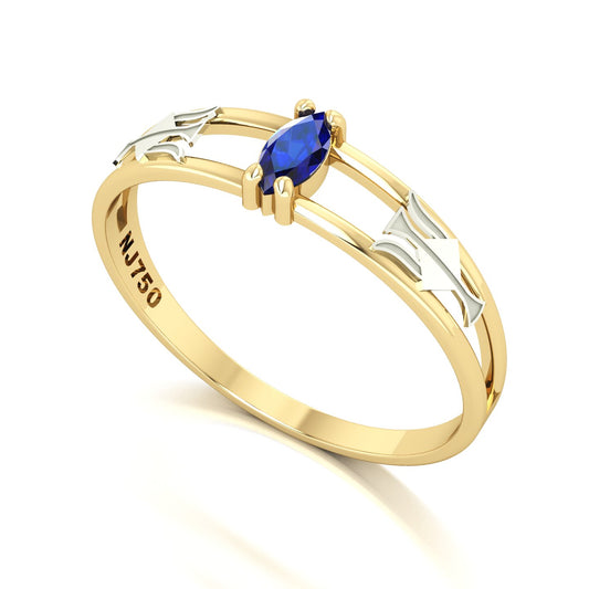 Anel de Formatura de Recursos Humanos Nexus II Ouro 18k