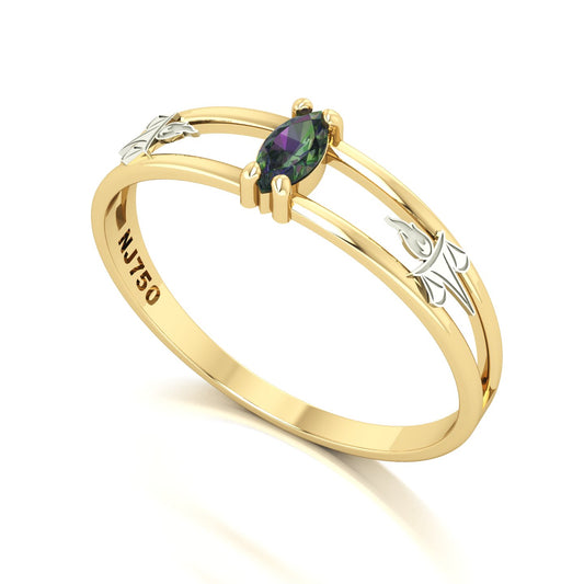 Anel de Formatura de Serviço Social Nexus II Ouro 18k