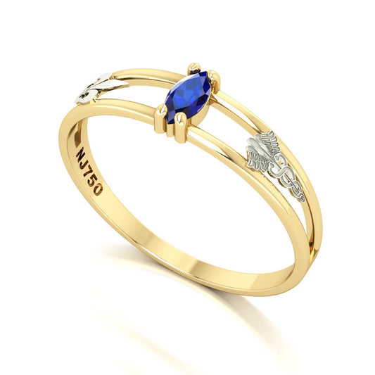 Anel de Formatura de Pedagogia Nexus II Ouro 18k