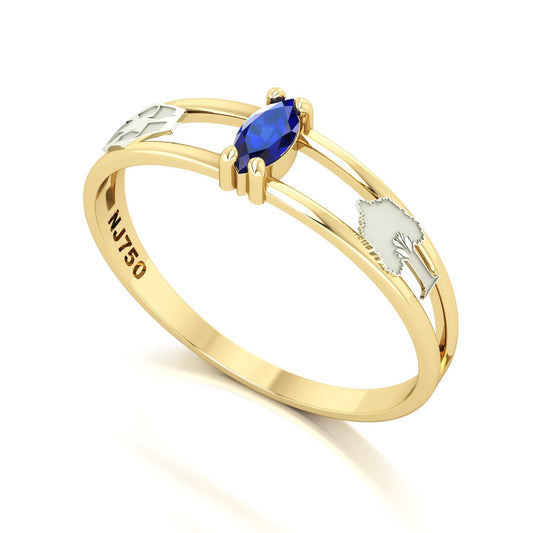 Anel de Formatura de Engenharia Ambiental Nexus II Ouro 18k