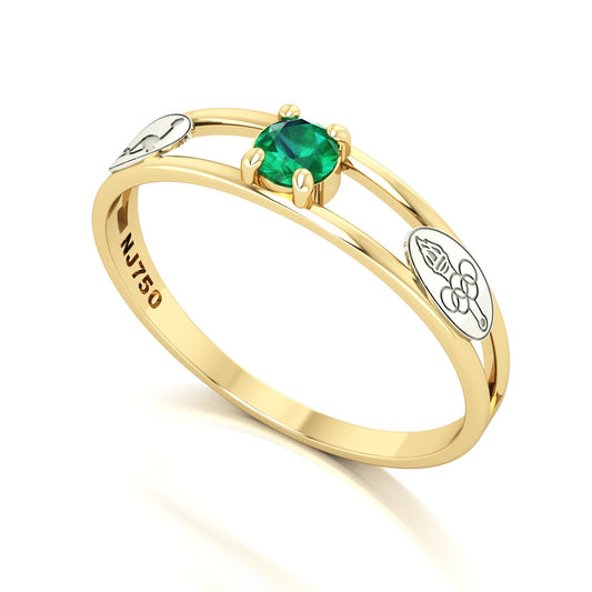 Anel de Formatura de Educação Física Nexus IV Ouro 18k