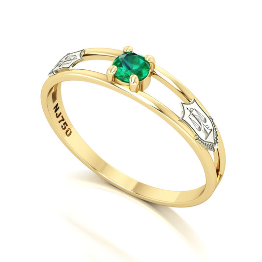 Anel de Formatura de Nutrição Nexus IV Ouro 18k