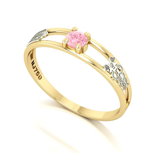 Anel de Formatura de Ciências Contábeis Nexus IV Ouro 18k