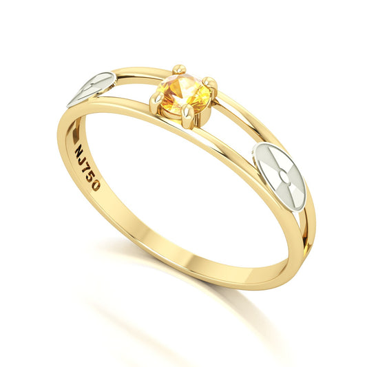 Anel de Formatura de Radiologia Nexus IV Ouro 18k