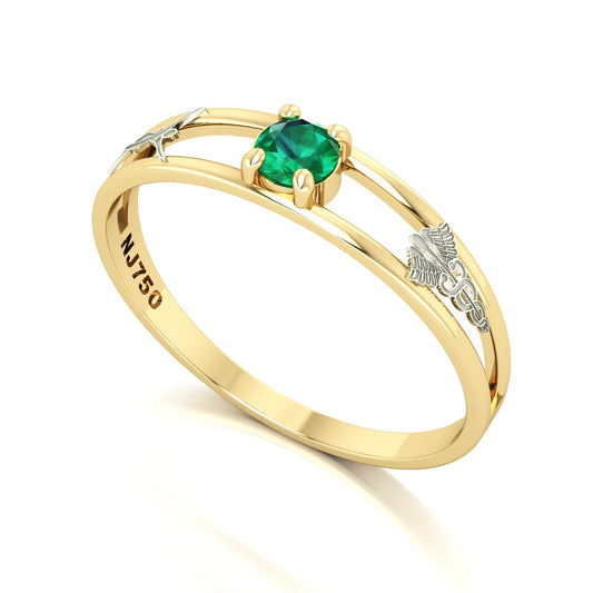 Anel de Formatura de Estética Nexus IV Ouro 18k