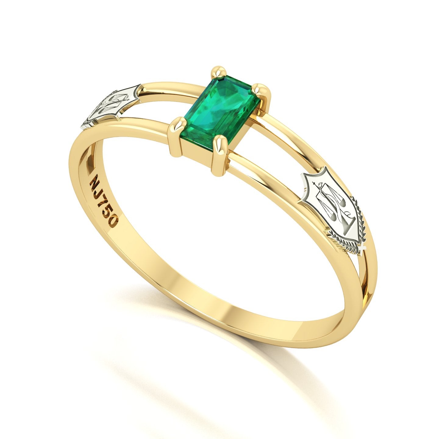 Anel de Formatura de Nutrição Nexus Ouro 18k