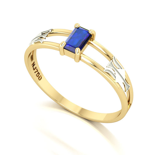 Anel de Formatura de Recursos Humanos Nexus Ouro 18k