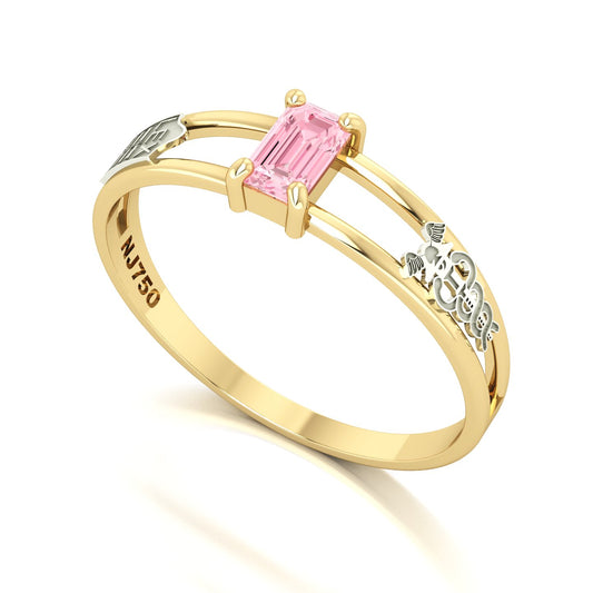 Anel de Formatura de Ciências Contábeis Nexus Ouro 18k