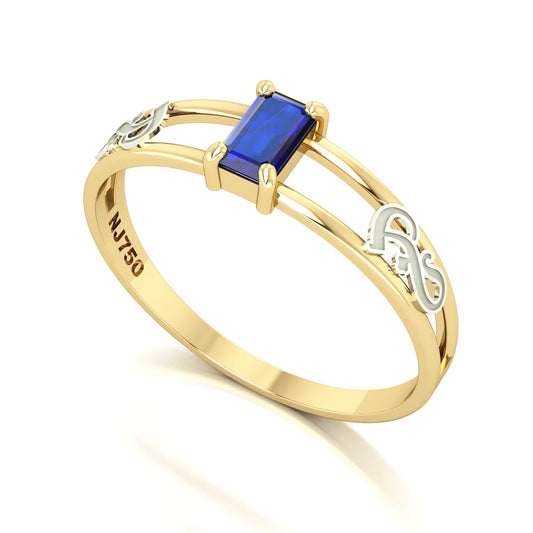 Anel de Formatura de Fonoaudiologia Nexus Ouro 18k